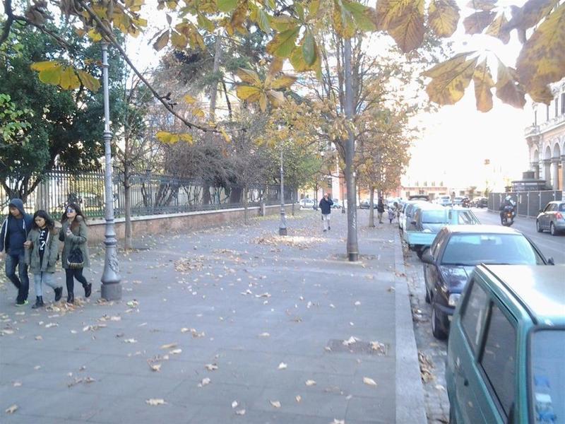 安格鲁99号住宿加早餐旅馆 罗马 外观 照片